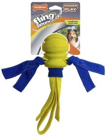 Nylabone Power Play Fetch-a-Bounce Rubber Dog Toy (Size: 10")