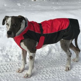 Alpine All-Weather Dog Coat - Red and Black (Size: X-Small)
