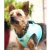 American River Dog Harness Ombre Collection - Aruba Blue