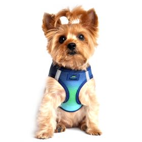 American River Dog Harness Ombre Collection - Northern Lights (Size: XX-Small)