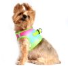 American River Dog Harness Ombre Collection - Rainbow