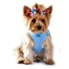 American River Ultra Choke Free Dog Harness - Light Blue