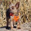 American River Ultra Choke-Free Dog Harness - Hunter Orange