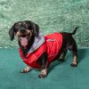 Weekender Dog Sweatshirt Hoodie - Red