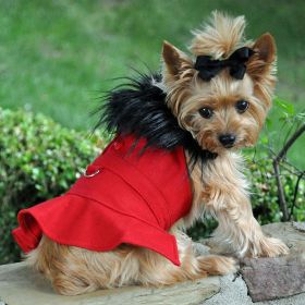 Red Wool Classic Dog Coat Harness and Fur Collar with Matching Leash (Size: X-Small)