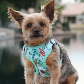 Wrap and Snap Choke Free Dog Harness - Surfboards and Palms (Size: X-Small)