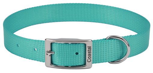Coastal Pet Single-ply Nylon Dog Collar (Size: 10"L x 3/8"W Teal)