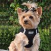 American River Ultra Choke- Free Dog Harness-- Black