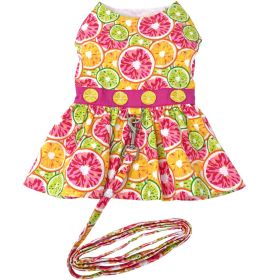Citrus Slice Harness Dress with Matching Leash (Size: X-Small)